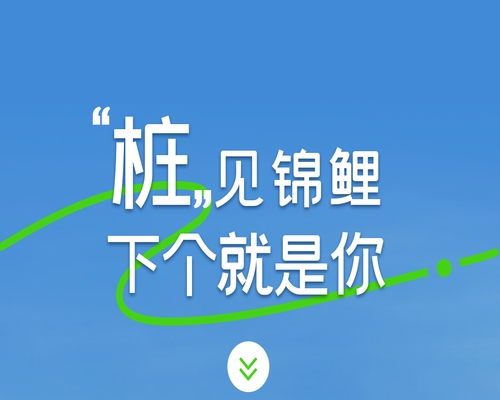“樁”見錦鯉，下個就是你