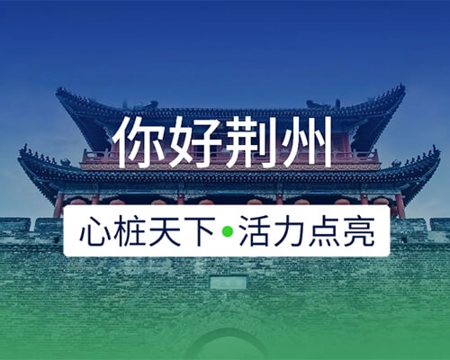 新城開埠 | 心樁天下，“電”亮荊州